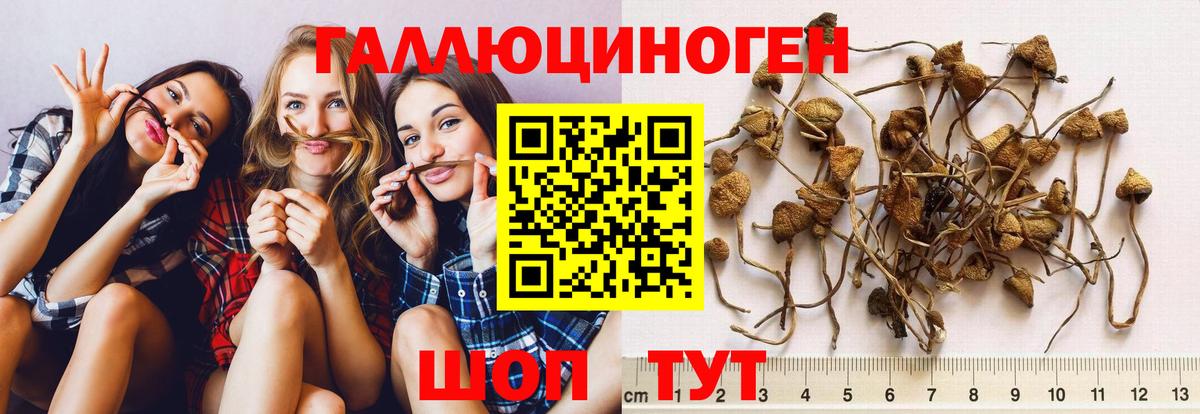 Псилоцибиновые грибы MAGIC MUSHROOMS  где продают наркотики  Артёмовский  Вход с VPN 